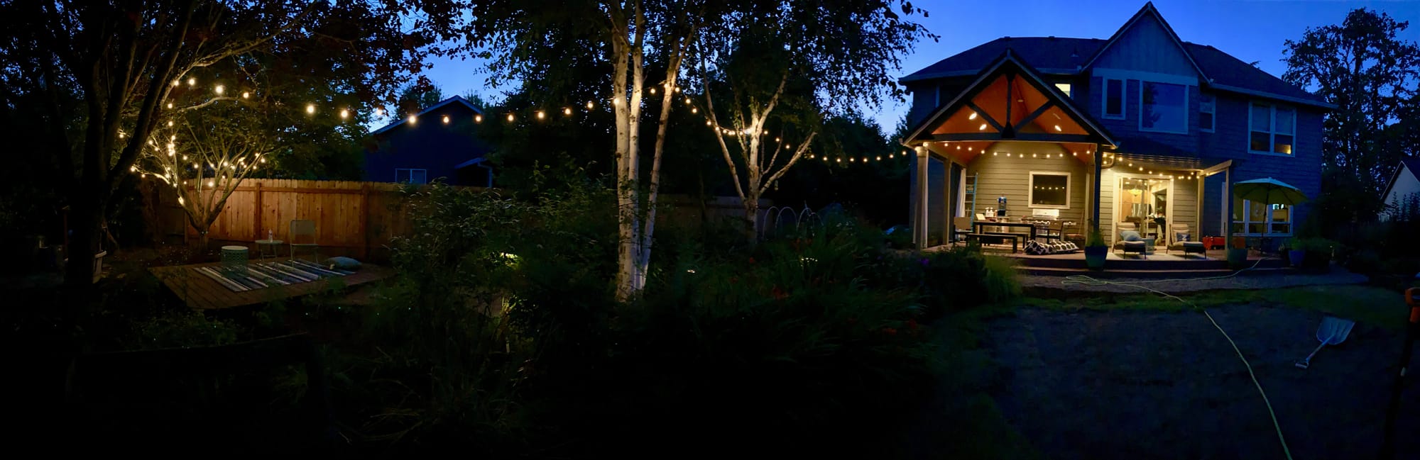 lights strung through my backyard