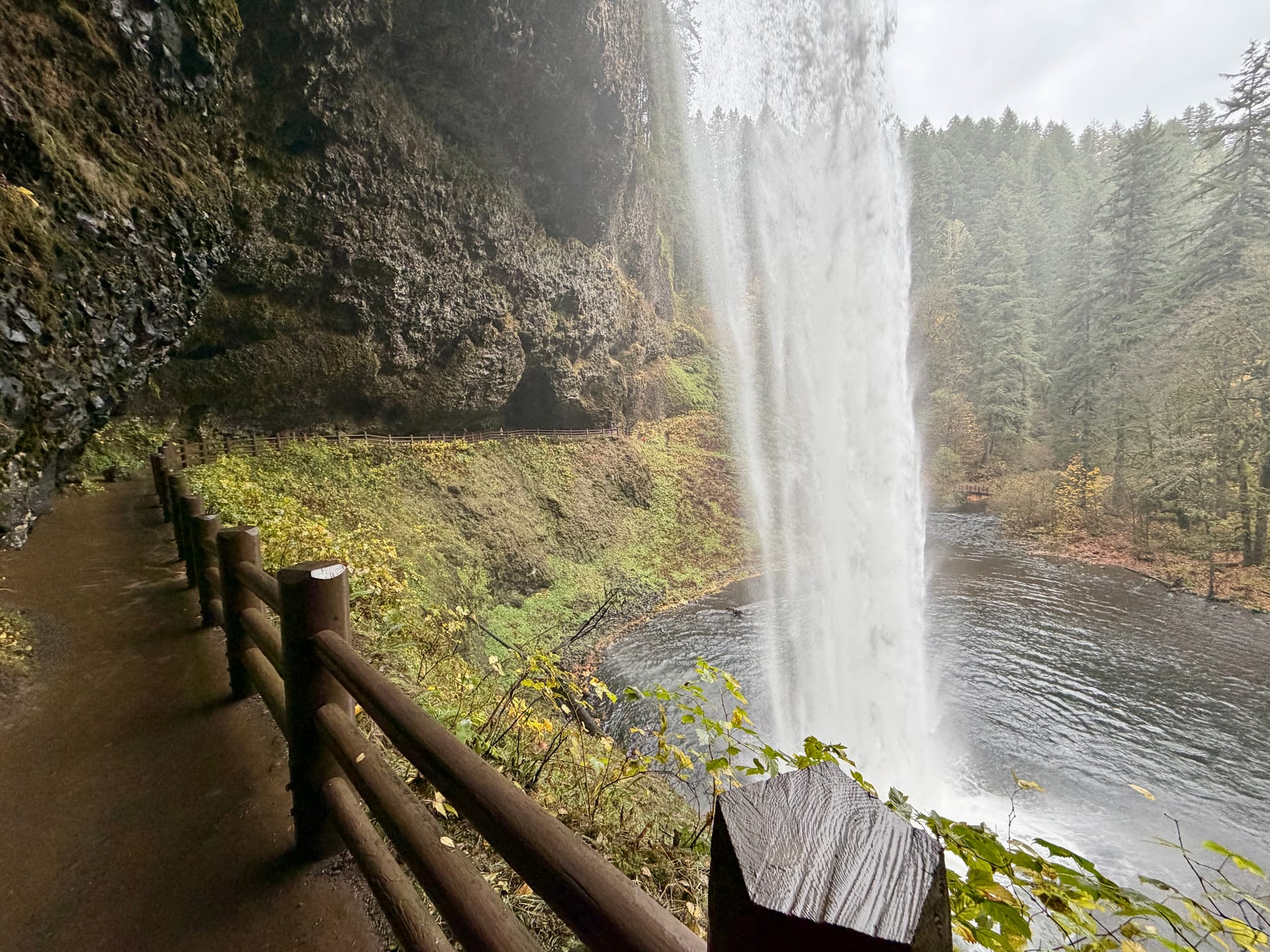 Some recent good YouTubes