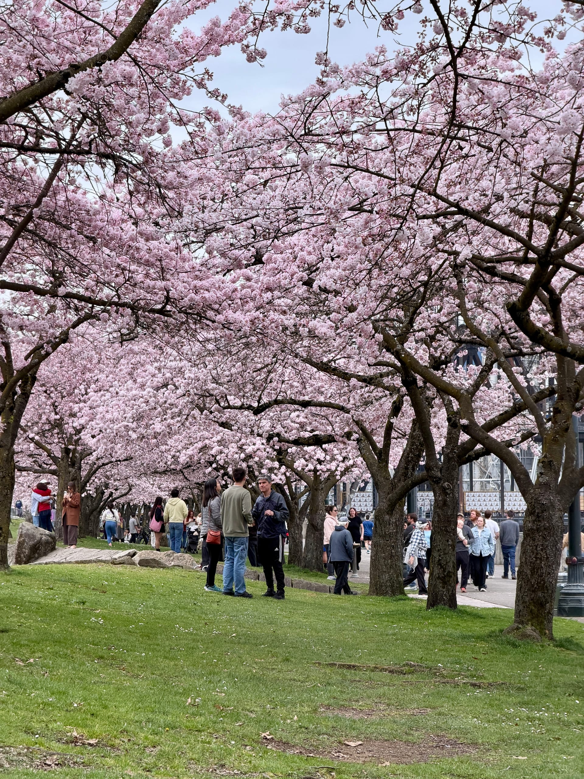 A thing we should acknowledge about AI