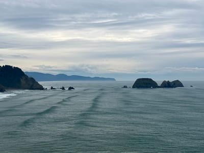 Zepboundin': my first month on a GLP-1