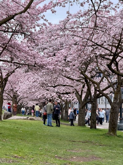 A thing we should acknowledge about AI