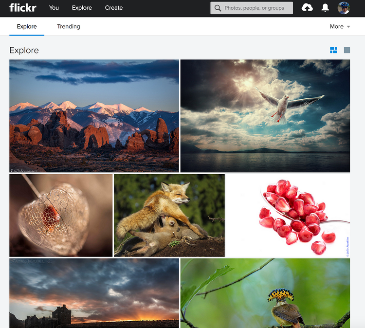 The Flickr Explore page is still really amazing